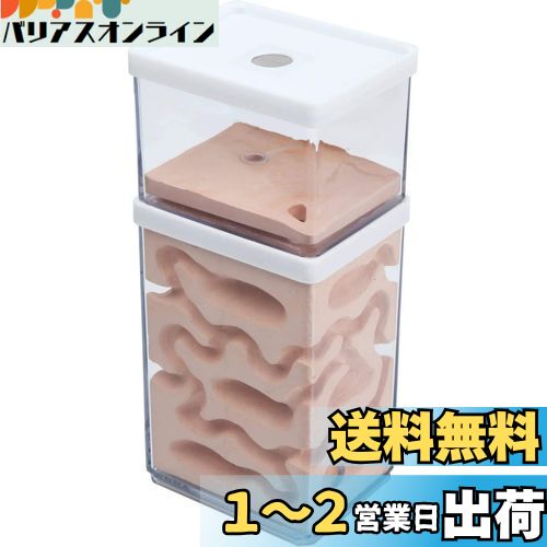 aleawol アリの巣観察キット アリ飼育箱 蟻の巣観察キット 蟻 飼育 石膏製巣箱 2層式 透明なプラスチックアリの巣 アリ飼育キット 昆虫 自由研究 生物実験 科学実験 観察日記 自然 生物 教育玩具用 (蟻なし)