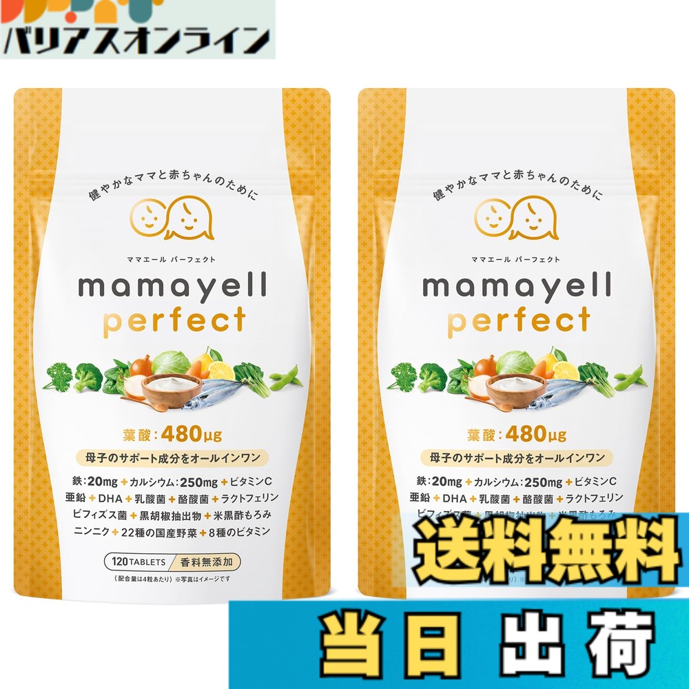 【貨物輸送無料】【母子の受け支える構成要素をオールインワン】葉酸 高練りあわせる 480μg 妊婦 妊孕 産後 加えること 葉酸サプリ DHA 鉄 Ca 乳酸菌 ビフィズス菌 ジンク 8類概念のヴィタミン 国産蔬菜22種 練りあわせる 1か月分 (2袋) おっ母さん叫び泣き パフェ一