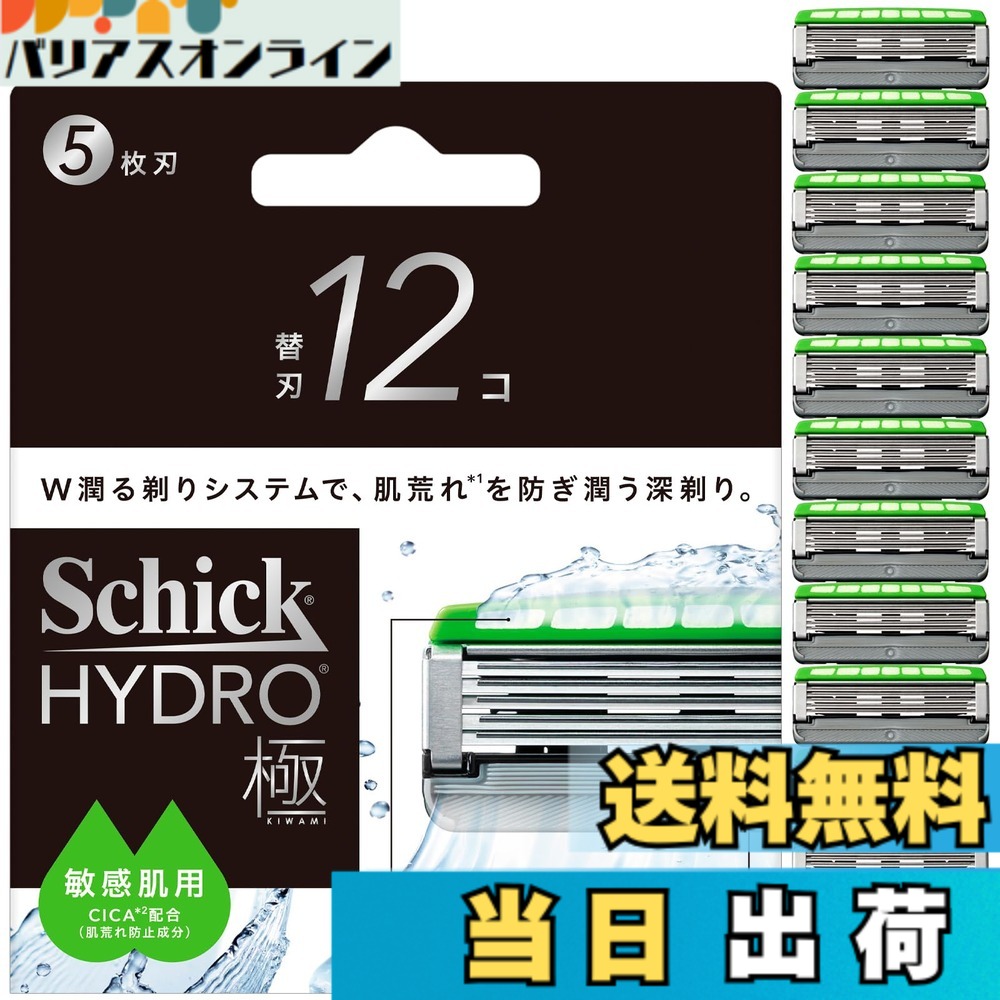 【貨物輸送無料】Schick(今めかしい) ハイドロ極 感じやすい肌 替刃（１２コ）成人男性用 髭剃り 髪剃り 色：しろがね色x緑であること