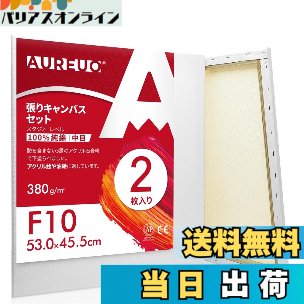 【送料無料】AUREUO 張りキャンバス セット 大きいサイズ 中目 100％コットン 初心者 絵画用具 芸術絵創作 現代油絵 美術装飾 水彩画・油絵画・アクリル兼用… 色：2枚、サイズ：F10, 2枚