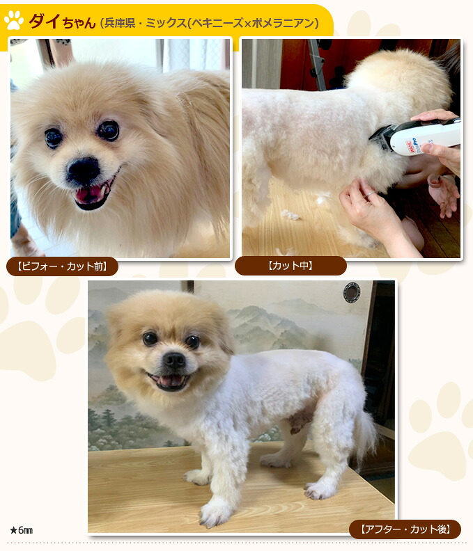 犬猫用ペットバリカン バリカン Showpro Wahl ウォール ショープロ コード式パワフルバリカン バリカン 犬用 プロ用 業務用 Wahl バリカン 送料無料 ペットバリカン プロ トリマー 業務用 犬用 猫用 Purplehouse Co Uk