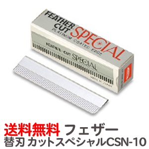 楽天市場】【10本セット】ルシア高級衿紙 300枚入×10個 セット 送料