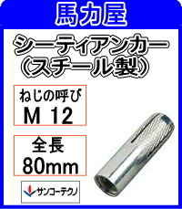 サンコーテクノ シーティアンカーCT-1280 【30本入】ミリねじ (スチール製)｜馬力屋