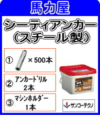 サンコーテクノ シーティアンカー GT-3030 現場セット【500本入】(スチール製)