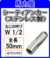 サンコーテクノ シーティアンカー SCT-4050 【50本入】ミリねじ (ステンレス製)