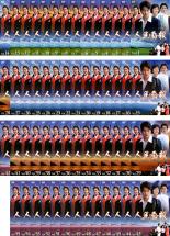 【バーゲンセール】全巻セット【中古】DVD▼人生画報(55枚セット)第1話～第219話 最終 字幕のみ レンタル落ち