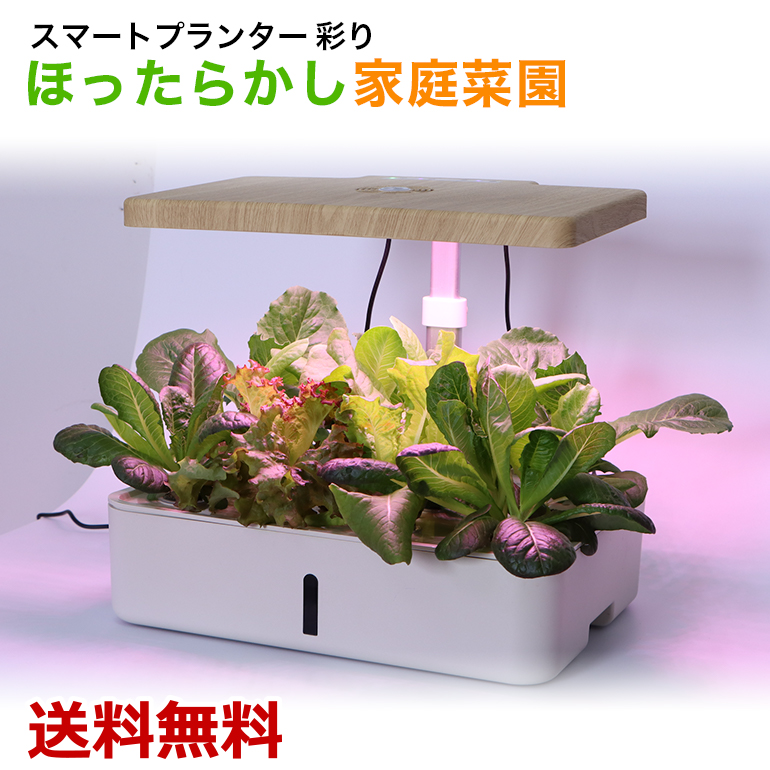 スマートプランター 高機能プランター 家庭菜園 栽培キット Led ファン モーターポンプ 自動水やり 土不要 フルーツ 野菜 無農薬 送料無料 Novix Com