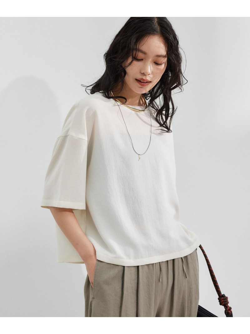 楽天市場】スタンダードTシャツ【WEB限定サイズL