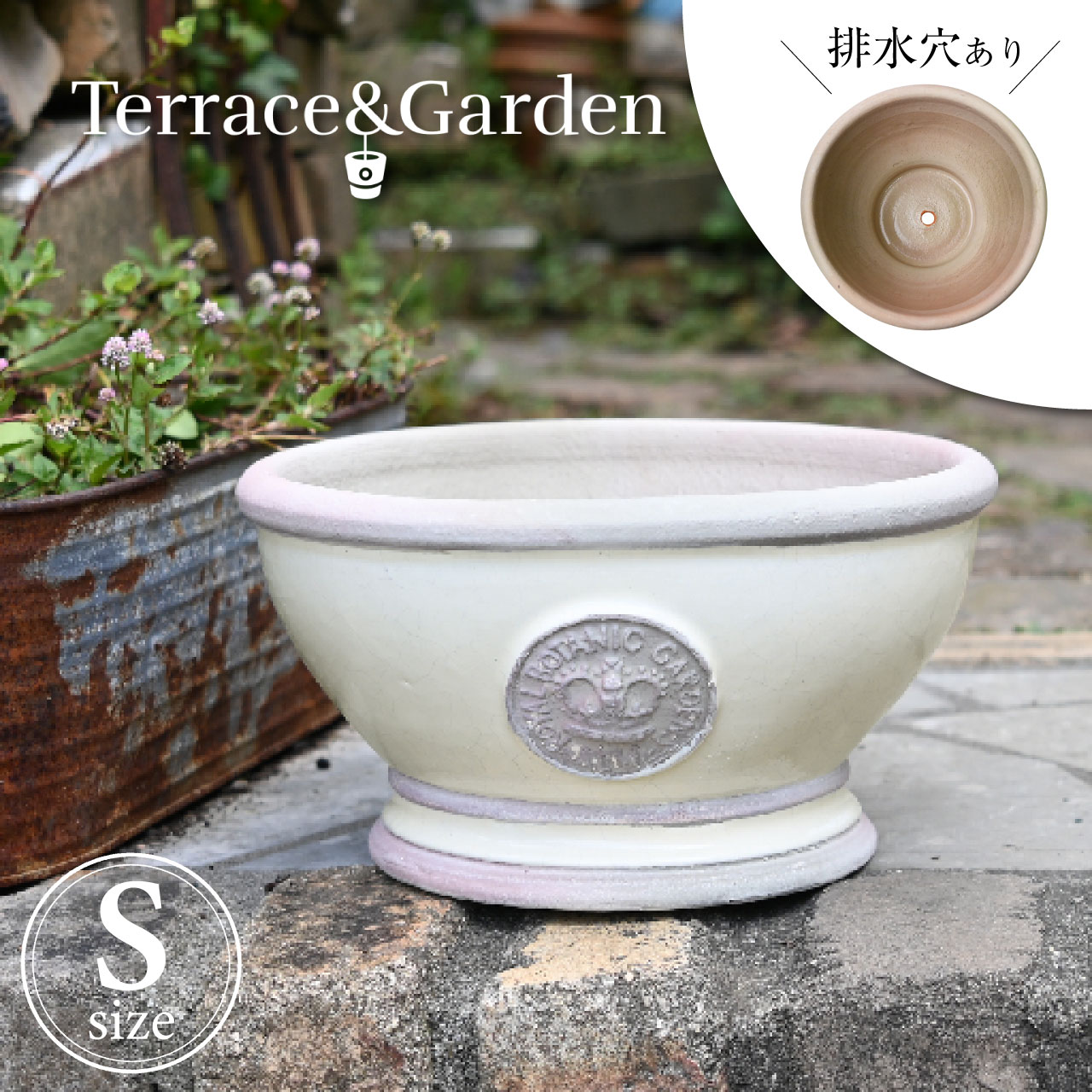 6月の芝地のお取りつくろう