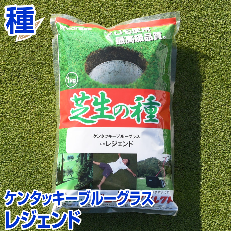 ケンタッキーブルーグラス レジェンド 1kg入 お庭の広さ12 15坪用 バロネス寒地型芝の種 多年草 発芽適温摂氏15 25度程度です 共栄社 種のまき方説明書付き 耐寒性が強い 北海道 東北 寒冷地に最適 家庭の芝まで幅広く利用されています 芝生 Painandsleepcenter Com