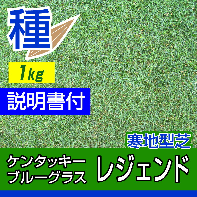 楽天市場 ケンタッキーブルーグラス レジェンド 1kg入 お庭の広さ12 15坪用 バロネス寒地型芝の種 多年草 発芽適温摂氏15 25度程度です 共栄社 芝生のことならバロネスダイレクト