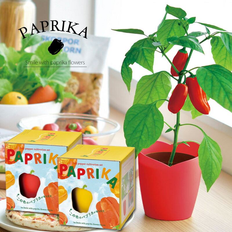 栽培セット 栽培キット 水菜 ミズナ ねぎ 三つ葉 コネギ 薬味 Wappa 紫蘇 野菜 ミツバ 和っ葉栽培セット シソ 葱 大葉