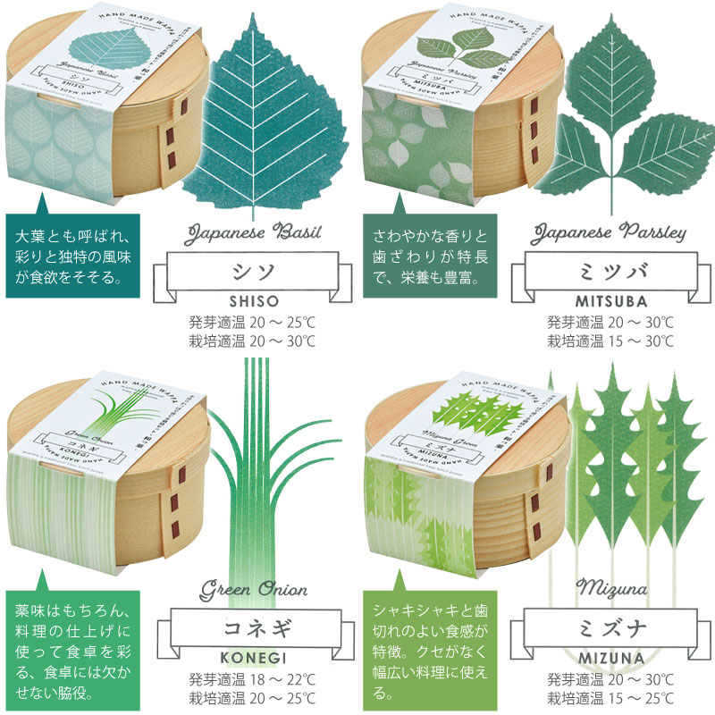 Wappa 和っ葉栽培セット 小ネギ 三つ葉 水菜 シソ 選べる4種類