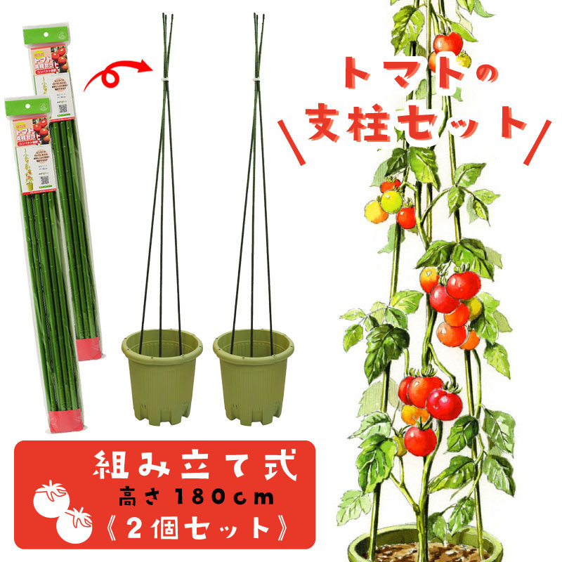 売れ筋介護用品も トマト支柱セット ビニタイ付き 組立式 高さ180cm 家庭菜園用 2個セット Sferavisia Hr