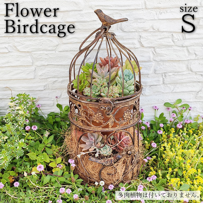 楽天市場】プランター ハンギング バードゲージ 鳥かご 鳥籠