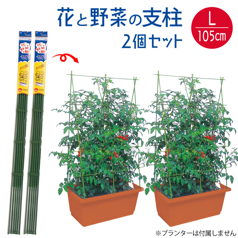 楽天市場】花と野菜の支柱 フック式留め具付き 組立式 Mサイズ 高さ 