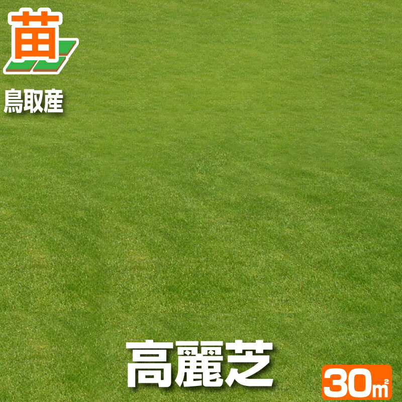 6月の芝地のお取りつくろう