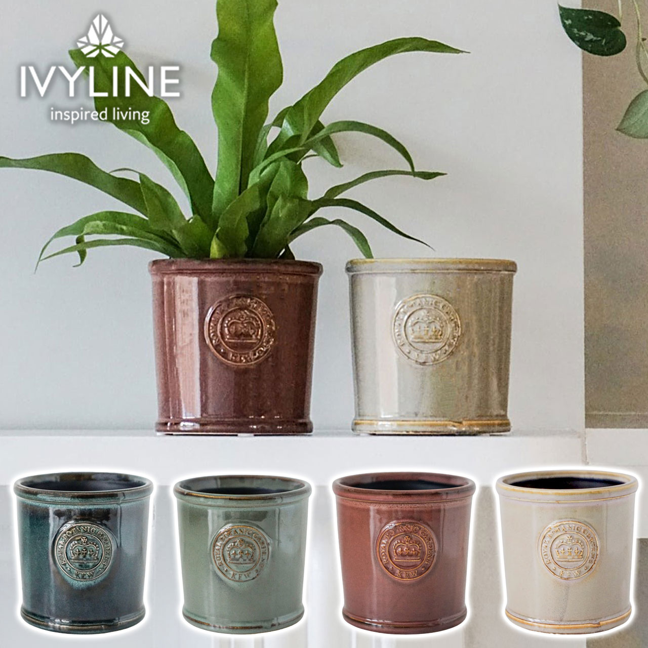 楽天市場】キューガーデン Kew Garden 陶器鉢 オルガ キューポット L