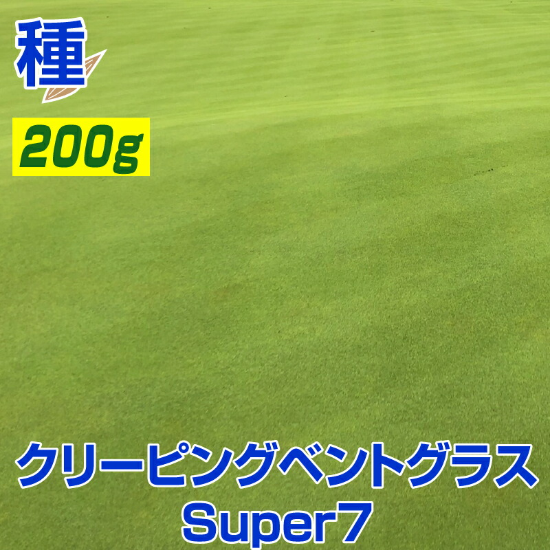 ぐりぐら 即購入OK ページ Amazon | 【Amazon.co.jp 限定】サクラクレパス 色鉛筆 クーピー
