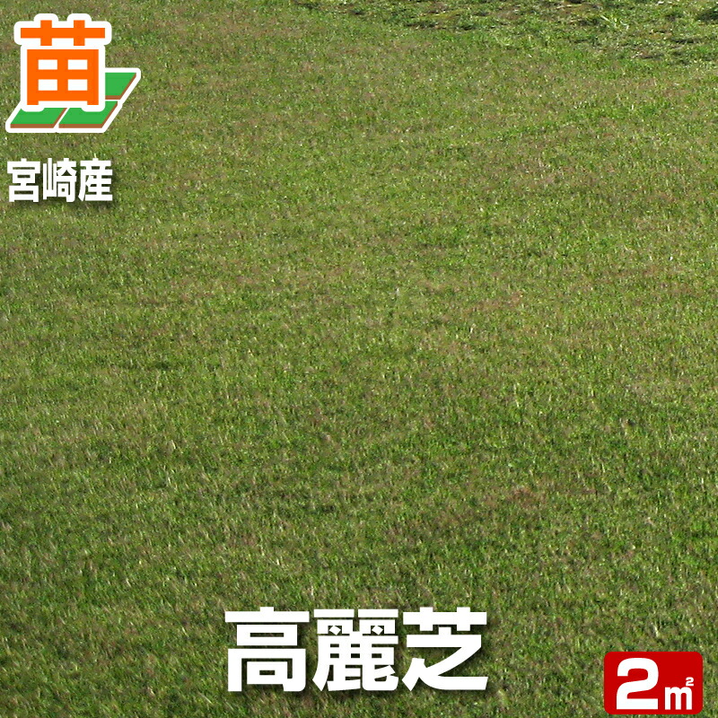 korai-m-2-r.jpg