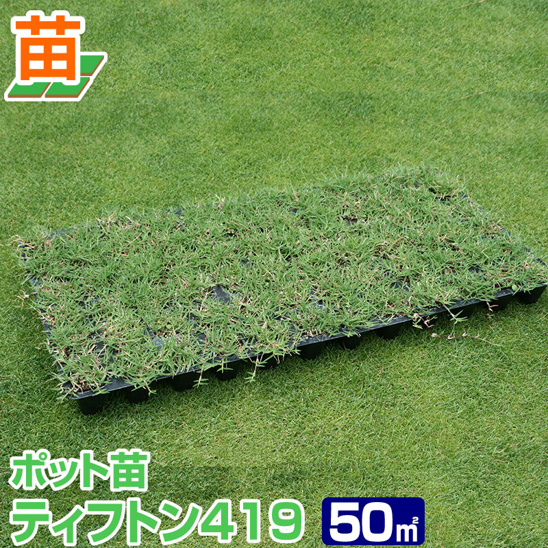 5月の芝地のお取りつくろう ガーデニング・農業-花・ガーデン・DIY-芝生