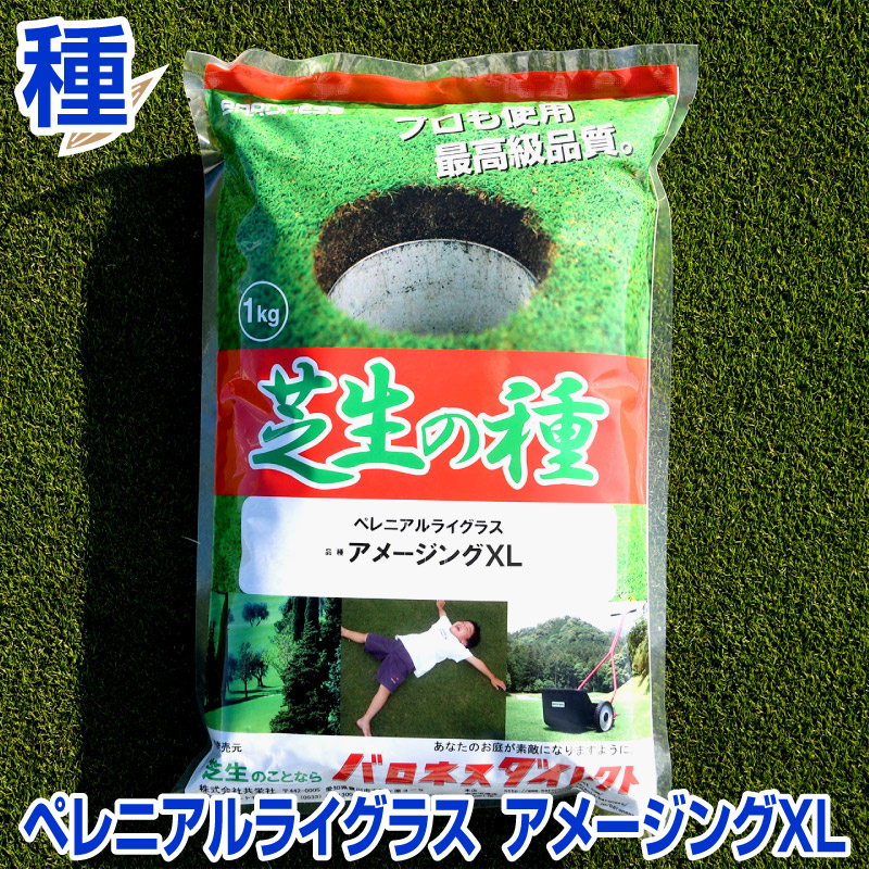 感謝の声続々！ バミューダグラス デューン 1kg お庭の広さ12〜18坪用 暖地型 芝生の種 多年草 発芽適温摂氏20度以上です 共栄社 