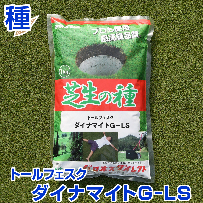 楽天市場】ハイブリッド・バミューダグラス ハリウッド 1kg入 お庭の広さ18〜27坪用 暖地型芝の種 多年草 発芽適温摂氏20度以上です。 : 芝生 のことならバロネスダイレクト