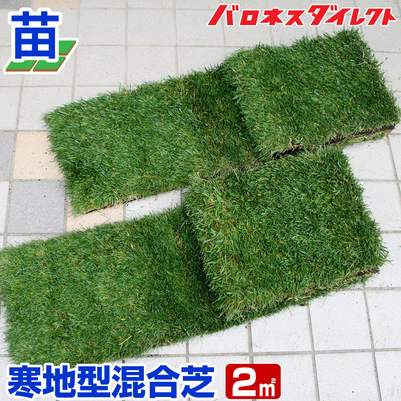 楽天市場 産地直送 栃木産 寒地型混合芝 ケンタッキーブルーグラス トールフェスク 張り芝用 プレミアム苗 2平米 約0 6坪分 天然芝 園芸 寒地型芝 芝生の苗 芝生のことならバロネスダイレクト