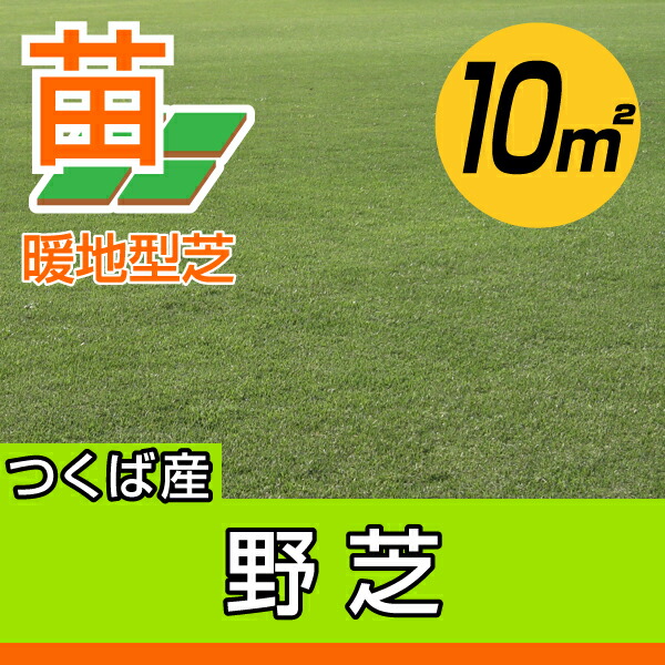 産地直送 １０平米 3坪分 つくば産 野芝 張り芝用 野芝 張り芝用 天然芝 １０平米 3坪分 芝生 暖地型 天然芝 園芸 芝生のことならバロネスダイレクト 苗の張り方説明書付き 高密度で葉幅4ミリ以上の日本芝 農場から直送されるので 新鮮さが違います