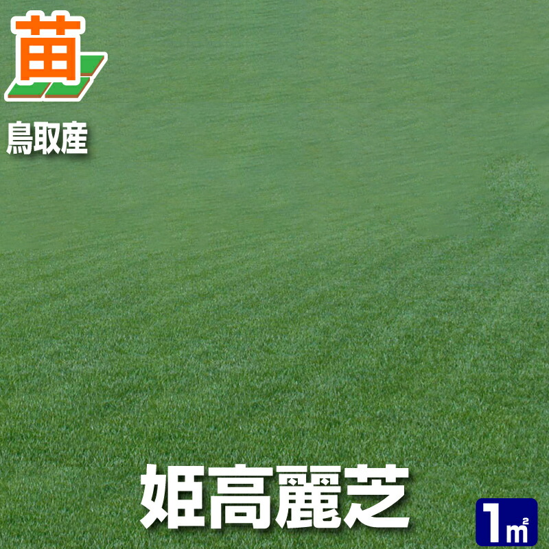 楽天市場】【10平米 姫高麗芝】鳥取産 姫高麗芝 10平米 3坪分 張り 