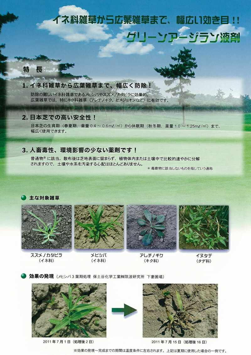 使い勝手の良い】 芝生用除草剤 グリーンアージラン液剤 1L イネ科 メヒシバ スズメノカタビラ キク科 広葉雑草 ゴルフ場も使用 雑草対策 日本芝  高麗芝 野芝 tuulikuautoaed.ee