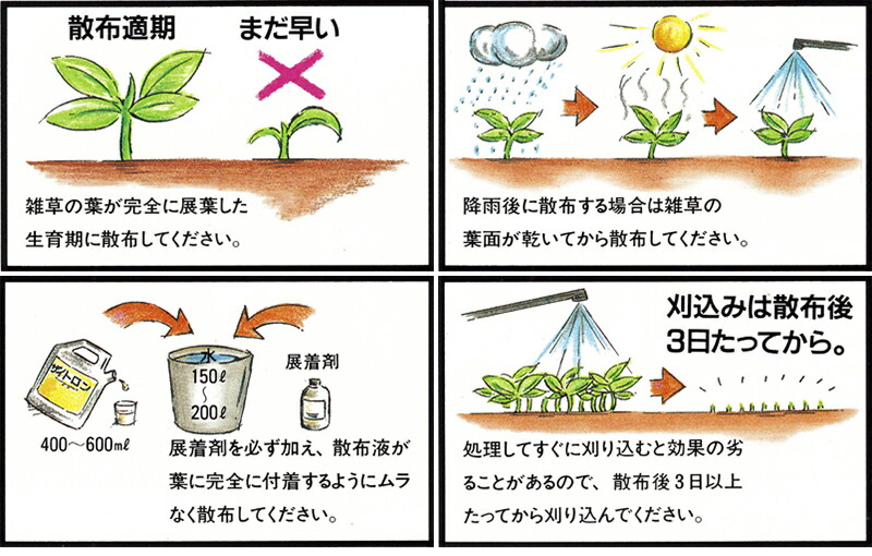 最終値下げ 芝生用除草剤 ザイトロンアミン液剤 500ml 広葉雑草 クローバー チドメグサ ゴルフ場も使用 雑草対策 日本芝 高麗芝 野芝  encantoemagia.com.br