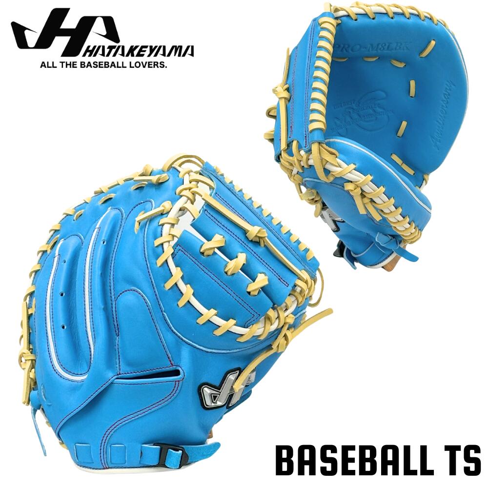 楽天市場】野球 ハタケヤマ HATAKEYAMA 軟式キャッチャーミット