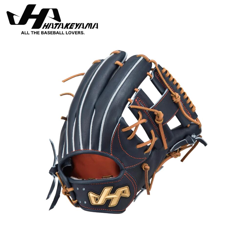 楽天市場】野球 ハタケヤマ HATAKEYAMA 硬式内野手用グラブ PRO-N8IB