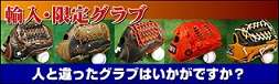 楽天市場】オーダー ベルガード BELGARD 審判用マスク 硬式野球