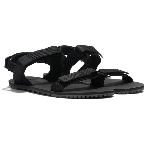 【クーポン券＆P5倍★百貨店SALE】絶無シューズ D-トレイル レディース (DTRW-BKAP) ／ 難民キャンプ 山歩き トレッキング ストラップサンダル 心地好い 町青少年 普段使い走り 軽さ 円蓋泊の伸び伸びする時に