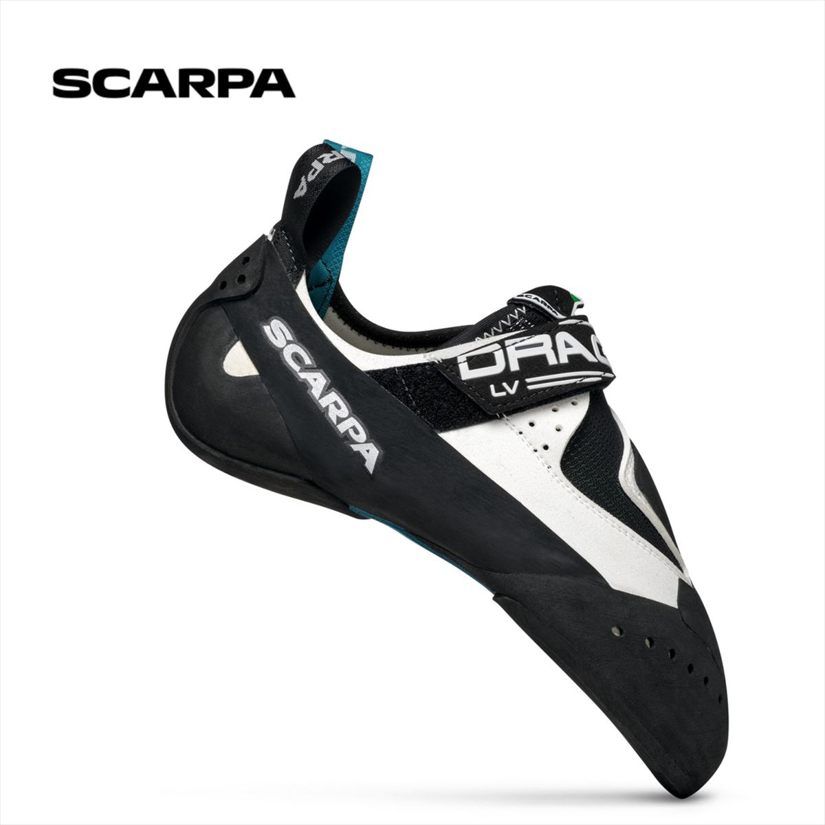 楽天市場】【 スカルパ ドラゴLV 】 SCARPA スカルパ クライミング