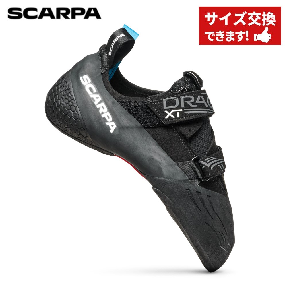 楽天市場】【 スカルパ キメラ BK/アズール 】 SCARPA