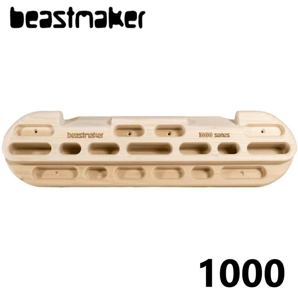 新品　本物　beastmaker Micros　ビーストメーカー　マイクロス Beastmaker(ビーストメーカー) Micros(マイクロス) 6/8/10mm各2