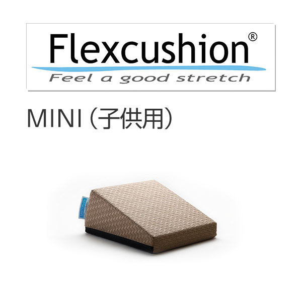 フレックス座布団MINI（ちびっ子用 身の丈150珊度合いまで）[サンテつけ加える] 伸ばすことかばい立て 開脚座布団 脊梁リセット Tarzan ターザン