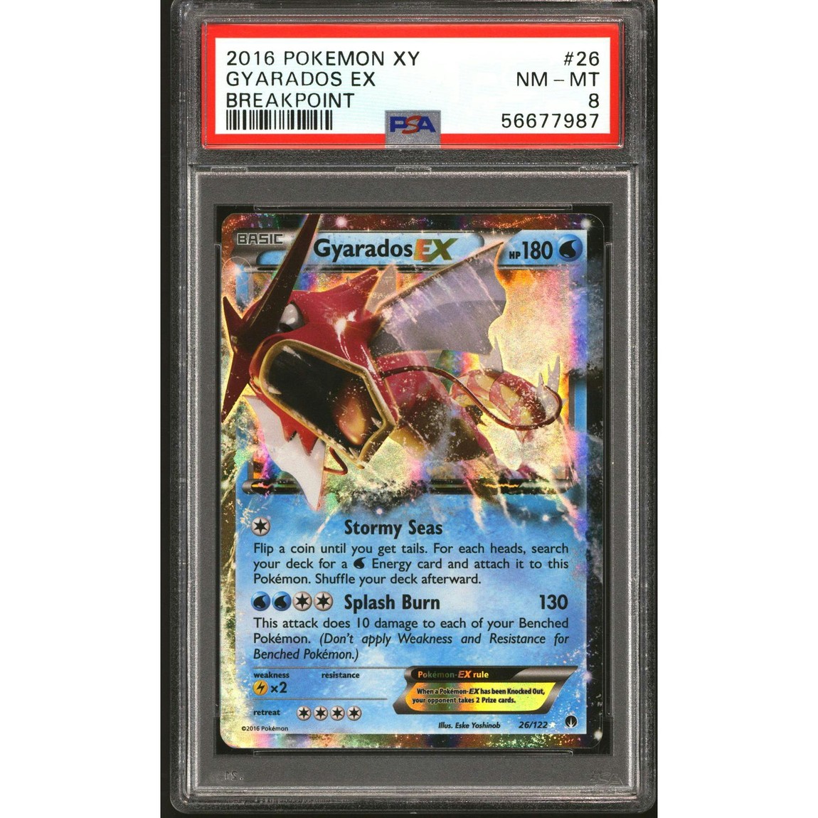 ポケモン英語版 2016 XY Breakpoint ギャラドス EX 26/122 PSA 8 鑑定済【中古】|Basqueバスク