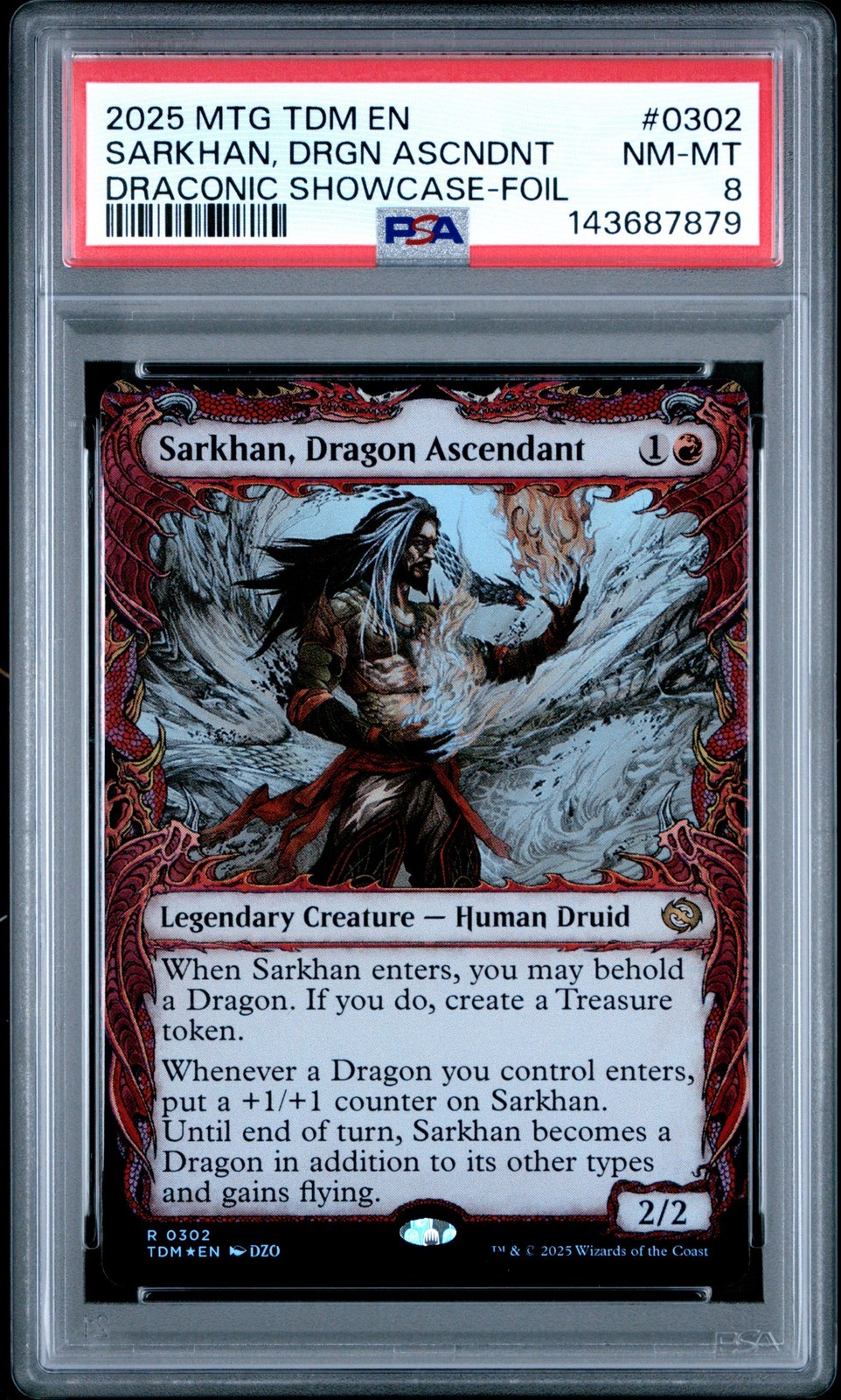 MTG英語版 2025 Tarkir: Dragonstorm Sarkhan, Dragon Ascendant Draconic SC-Foil PSA 8 鑑定済【中古】|Basqueバスク