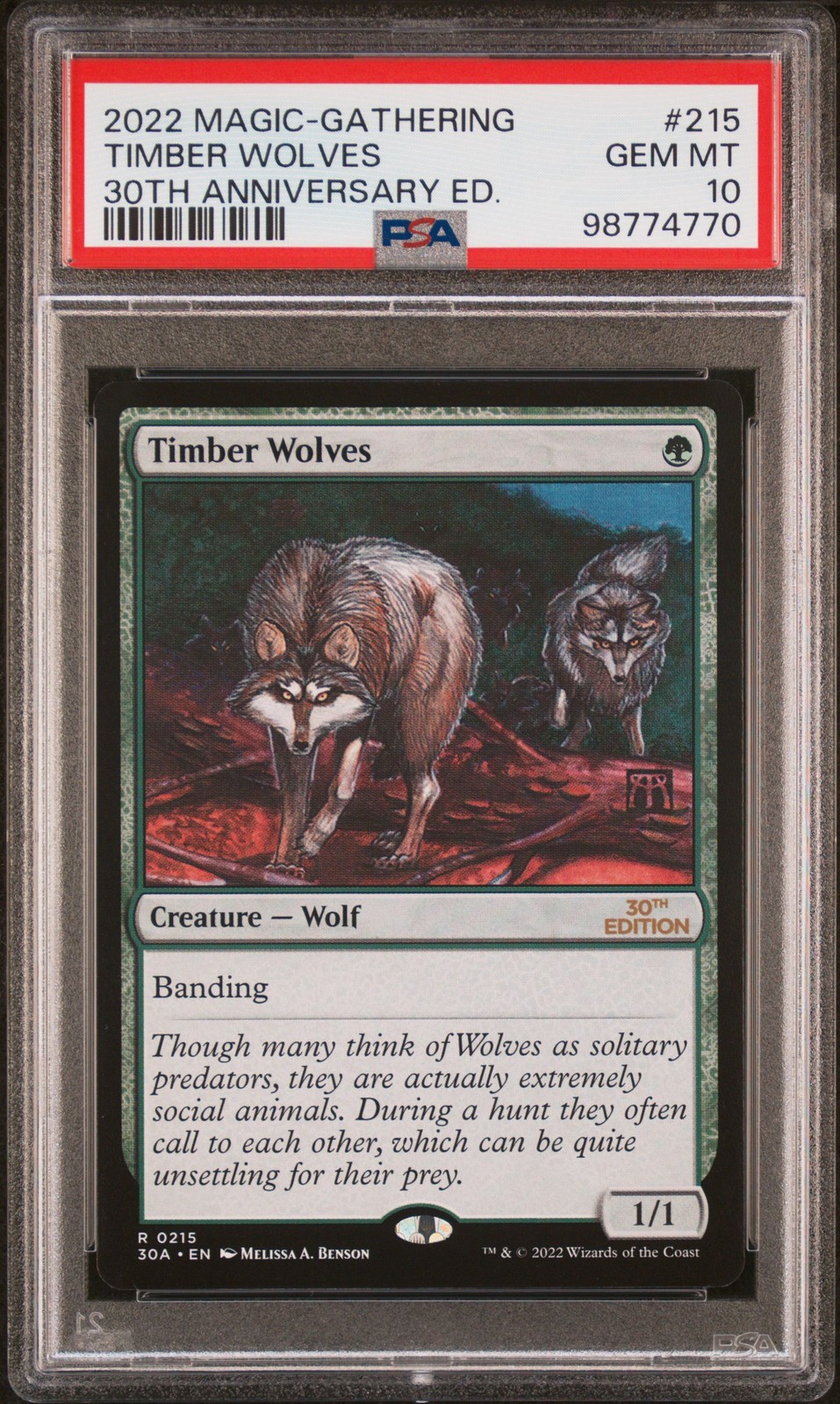 MTG英語版 2022 MTG 30TH ANV ED TIMBER WOLVES #215 PSA 10 鑑定済【中古】|Basqueバスク