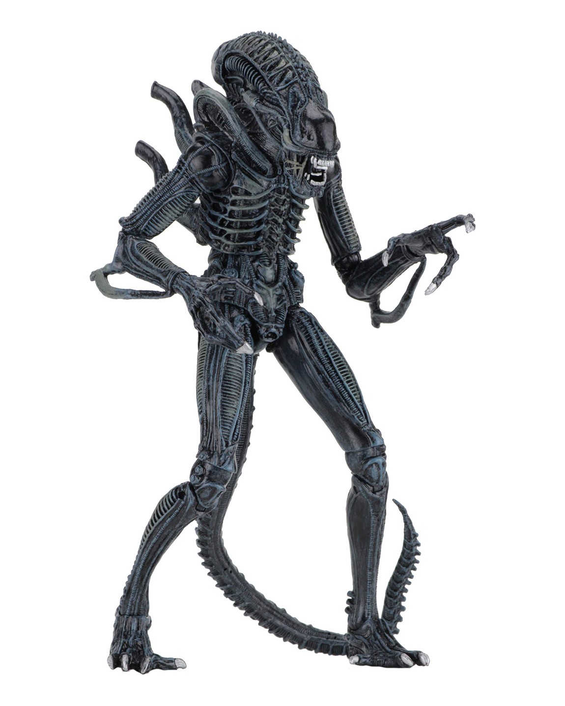 NECA エイリアン2 ウォリアー・エイリアン ブルー アルティメット 7インチ アクションフィギュア｜Basqueバスク