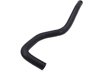 レクサス純正 ウォーターホース (Water Hose) OEM パーツ｜Basqueバスク