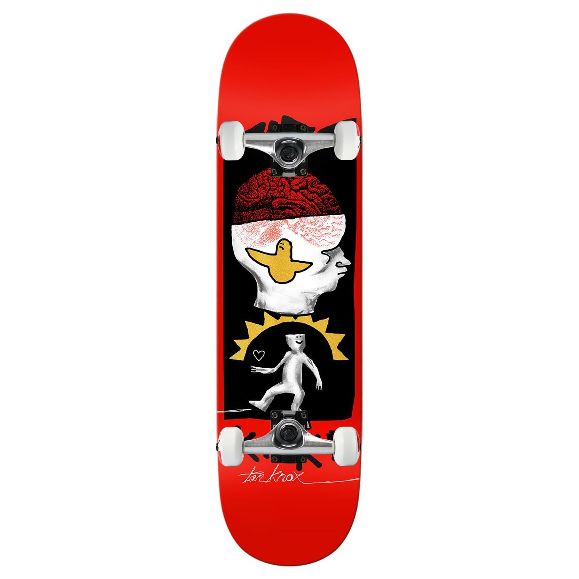Krooked Knox Brain and Bird スケートボード コンプリート 8.5" x 32.18" 完成品 スケボー｜Basqueバスク