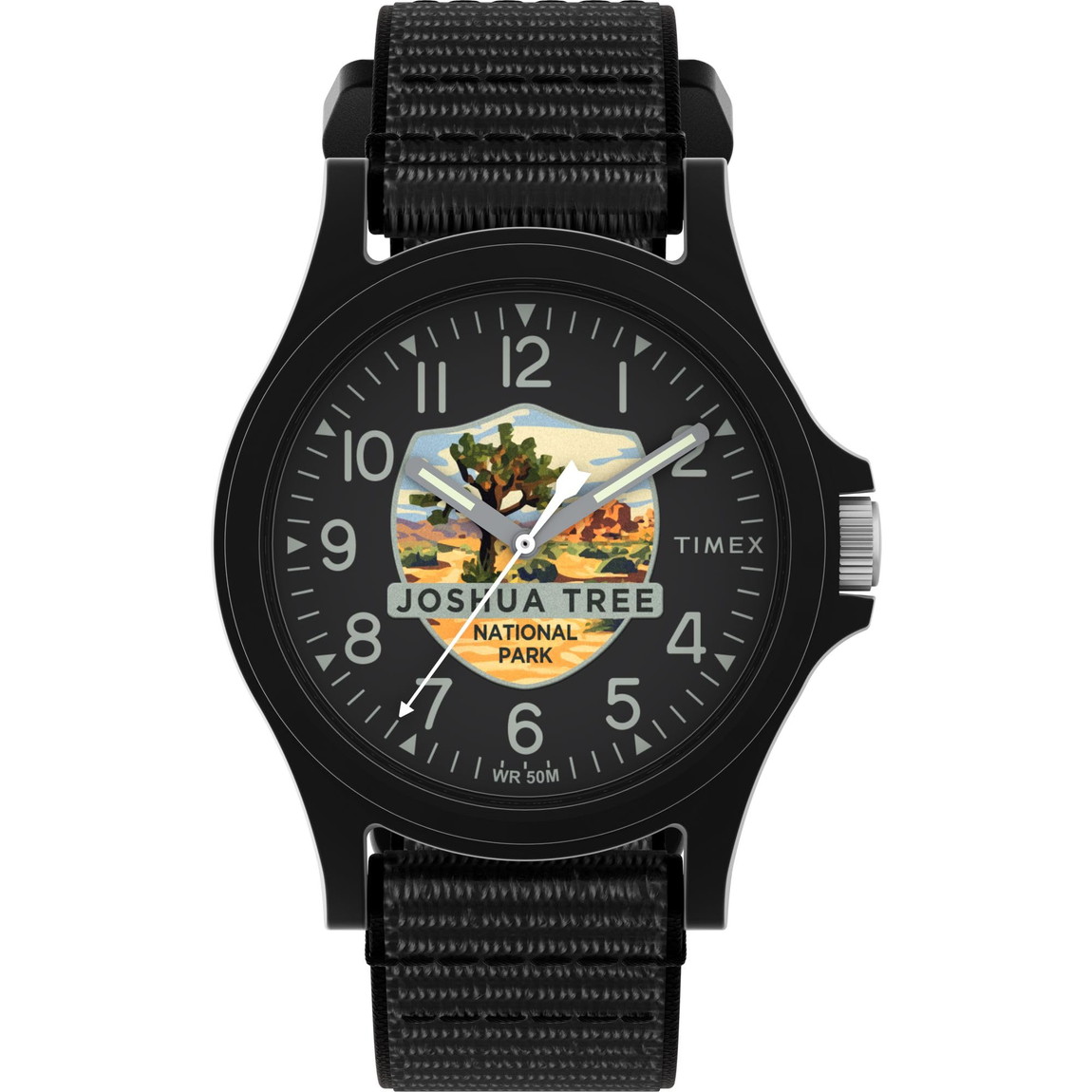 Timex ユニ一発やる Joshua Tree National Park 40粍 ウオッチ