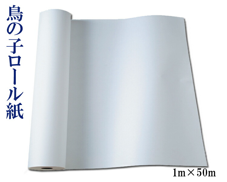 楽天市場】書道パフォーマンス用 練習用紙 わけあり大きな練習用紙 約