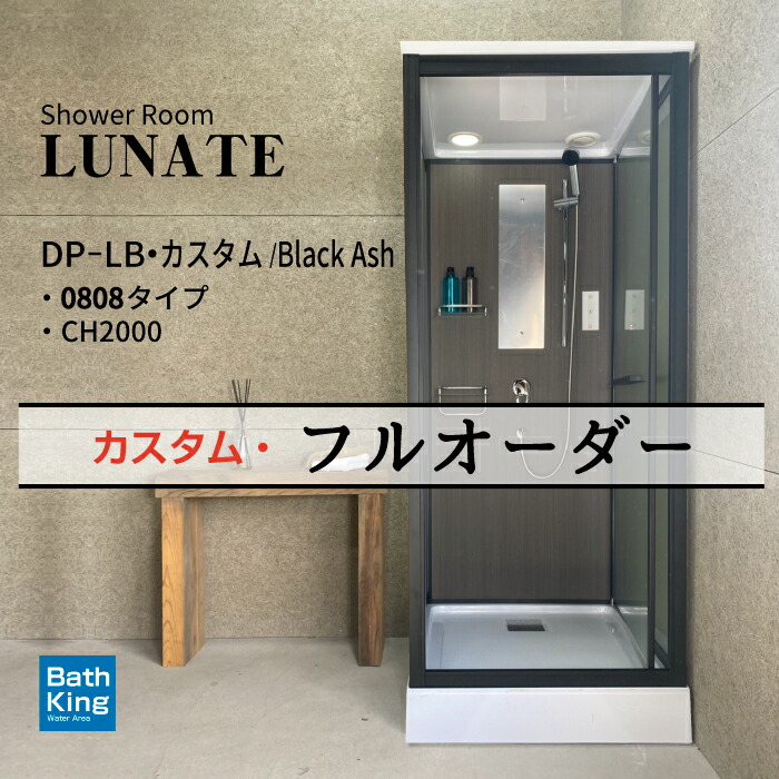 DP-L01B シャワー社会的単位 0808 ブラックアッシュ 風呂桶なし 置き型 風呂 リフォーム 精神的な統合式 シャワー御部屋 置くだけ 格好のいい 格好のいい お風呂シャワー シャワーBOX 幅890×奥ふかさ940×高さ2200粍 シャワー 換気ファン LEDともし火 節水シャワー上端 組みあわせる水栓 西洋手ぬぐい赤ちょうちん