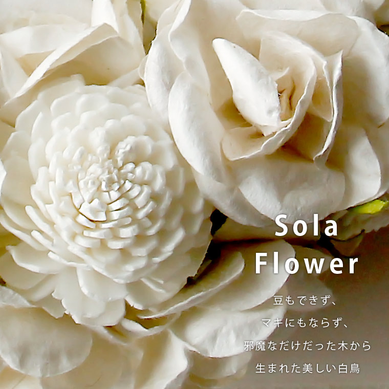 【楽天市場】おしゃれでかわいいルームフレグランス「Sola Flower（ソラフラワー）」サシェ 母の日やブライダルのギフトとして【ポプリ